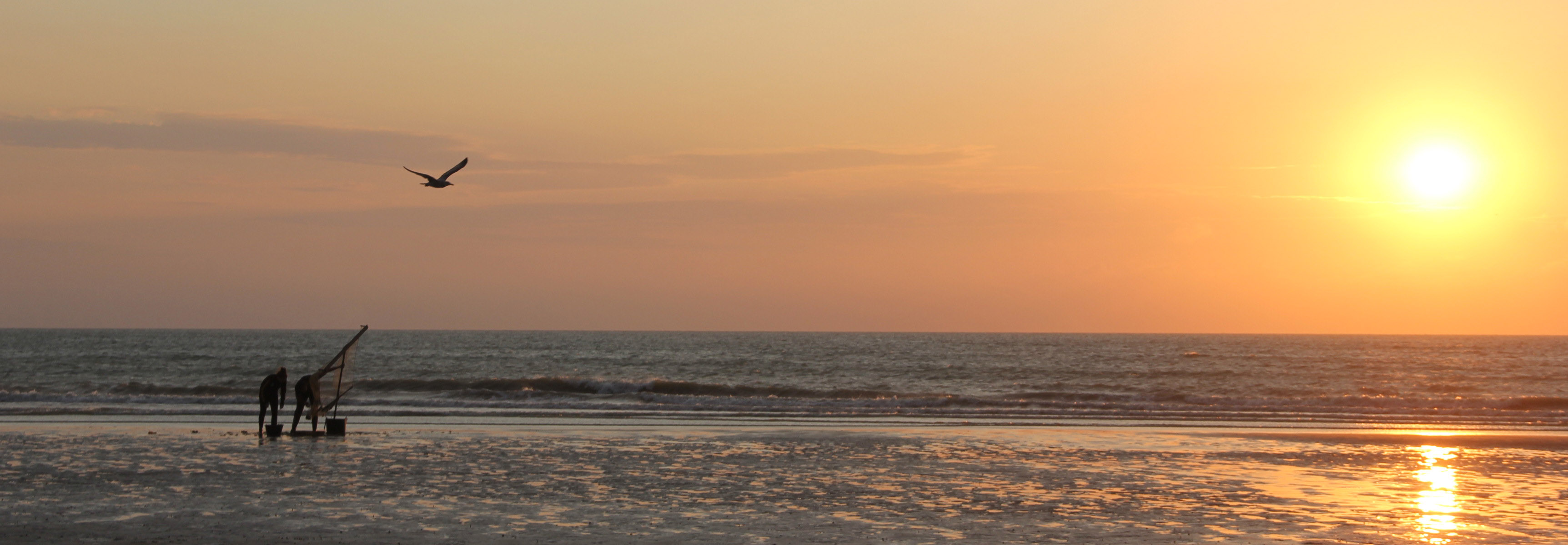 IMG-2545-large.jpg Equihen-plage