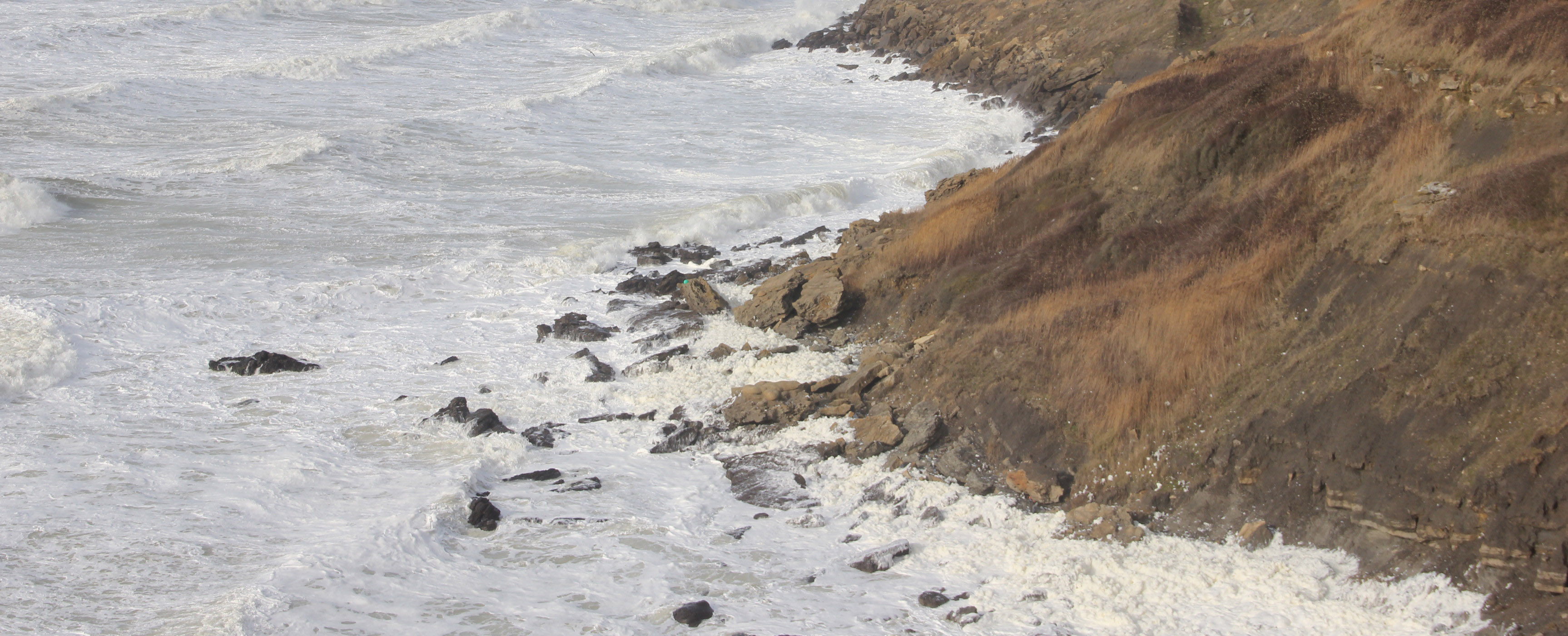 IMG-8331-large.jpg Equihen-plage